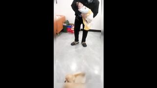 Cute Dog (TikTok)