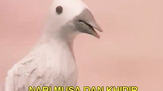 Nabi Musa dan Khaidir (Kisah Dalam Alquran)