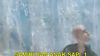 Samiri Dan Anak Sapi (Kisah Dalam Alquran)