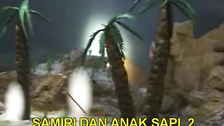 Samiri Dan Anak Sapi 2 (Kisah Dalam Alquran)
