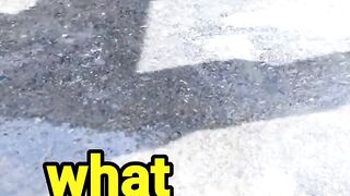 WHAT... FUNNY tik tok