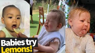 Babies Try Lemons For The First Time Compilation