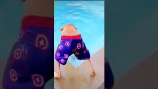 Try not to laugh funny animals video