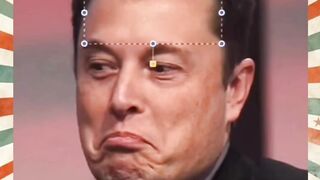 Elon car ????