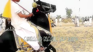 #foryou #foryoupage #fyp #Ahmad#horsepower#trend116