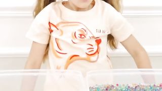 Diana Teaches Numbers Adventure