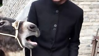 ???????????????? 114