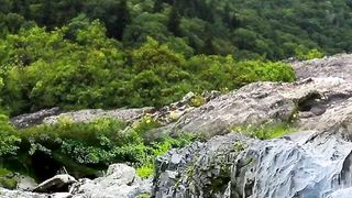 Natural pick it video