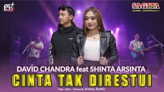 Shinta Arsinta Feat David Chandra - Cinta Tak direstui