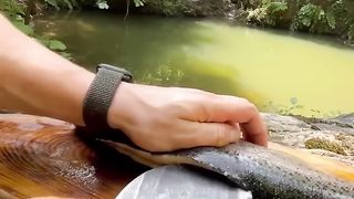 Doğal Taş Üzerinde Somon Balığı ???? _ cooking salmon fish on natural stone