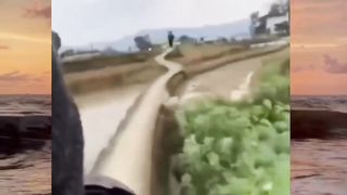 when the motorbike passes through the rice fields