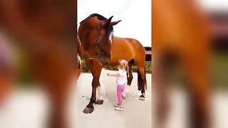 18 Minutes Of Reletable HORSE - TikTok Compilation #95