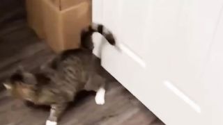 Please don't laugh 2