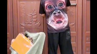 ????  LOL ????  FUNNY LAUGHING VIRAL TRENDING