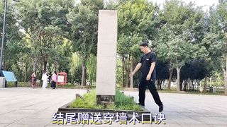 Magical funny video
