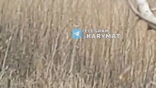 Ukraine Russia War | UA POV: Russian T-72B3 Burns Close to a UA Position in Avdiivka | RCF