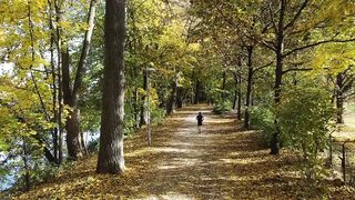 nature walk