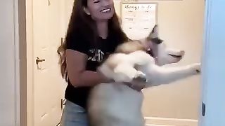 Ultimate Husky Compilation ~ Cute & Funny Huskies of TikTok!