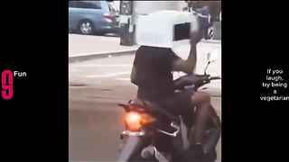 funny video compilation 5