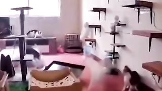 Please don't laugh 5