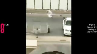 funny compilation videos