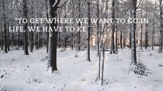 Quotes of the day #36