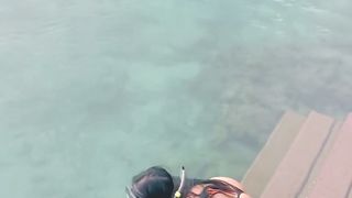 Con lobos peces y tortugas