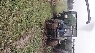 Кормозагатовка