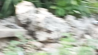 Monkey ???? ???? ???? ???? ???? ????
