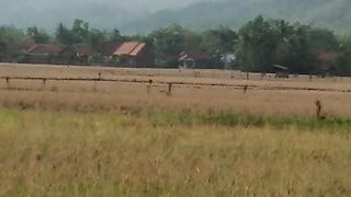 Bukit yang indah