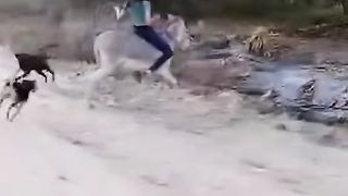 Desistir já mais kkkkk