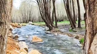 Amazing video 128