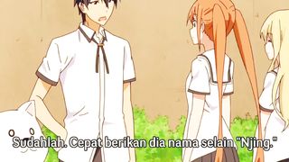 itu anjing Goblok