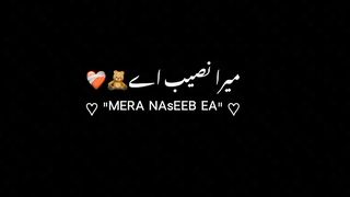 میرا نصیب ہے