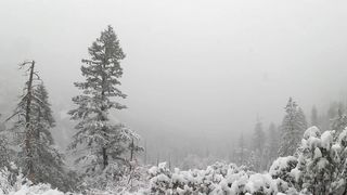 Relaxation Mind | Instant Relief | Winter Season | Beautiful NATURE