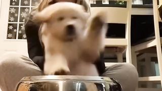 baby play drum :D|so cute