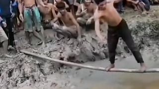 Collection of funny scenes2