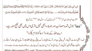 اسلامی معلومات 631