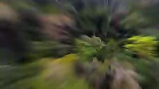 Forest 4