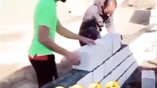Kamediya 4