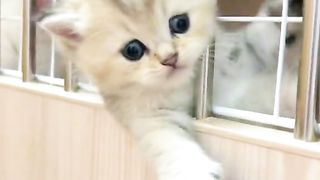 Приколи 533