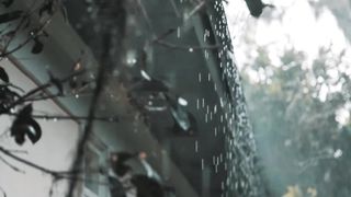 Rain Day