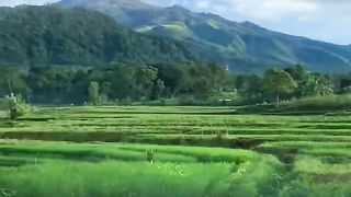 Keindahan Alam Gunung Sawah dan Sungai  |Natural Beauty of Mountains, Rice Fields and Rivers