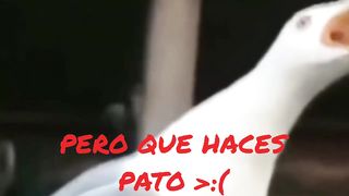 ???? SI TE RÍES PIERDES NIVEL EXTREMO|999.99% IMPOSIBLE. ????