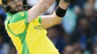 Cricket 74