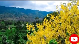 top 5 most unique places in the world