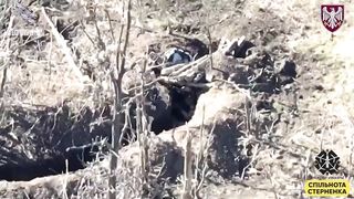 Ukraine Russia War | Ukrainian Kamikaze Drone Strikes Russian Militant in Dugout | RCF