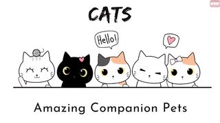 18 Strangest Cat Behaviors Explained