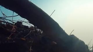 من مسافات قريبة تحت الأرض
