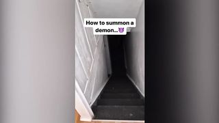 Average cat experience